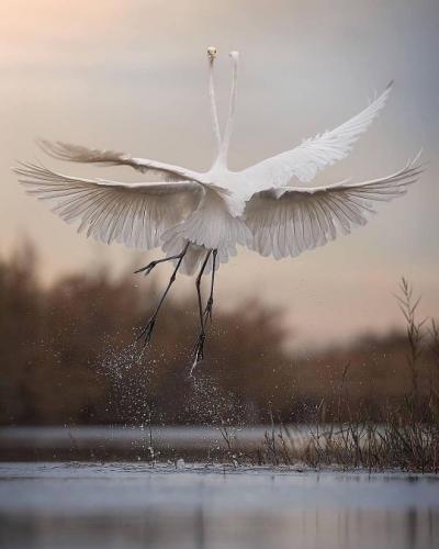 tumblr_dbc4da163f489e6e1c9eac0c83493d66_3740f9ef_540