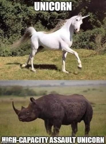 FB_IMG_1627250626615