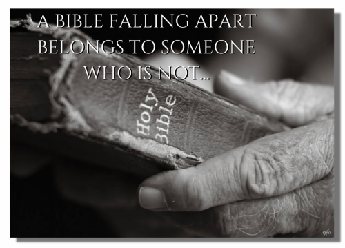 _BibleFallingApartBelongs