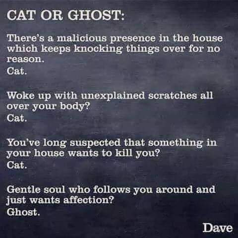 FB_IMG_1624288473871