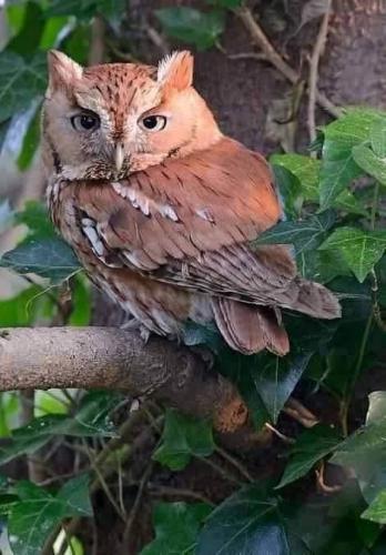 tumblr_5d6022e196116e4a8c802b8c6b577dc9_75cb716a_500