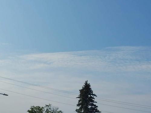 received_2989571681286288