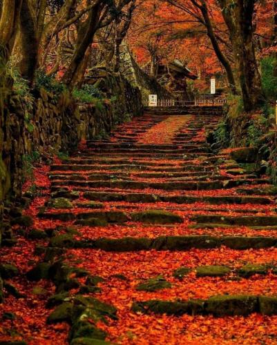 214159866_826291491622637_2173277137641884188_n