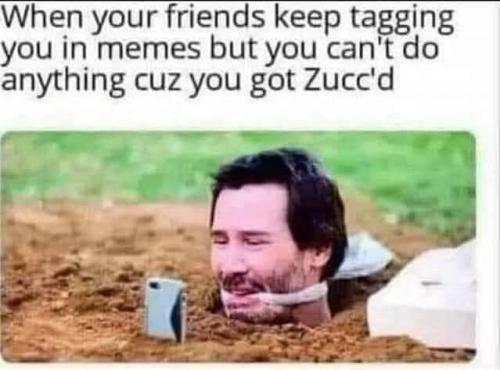 227938690_129223919367684_1818401793285266591_n