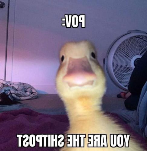 FB_IMG_1626321166808