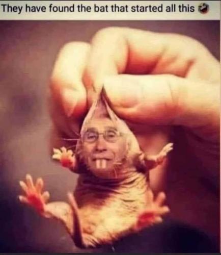 FB_IMG_1627538209042