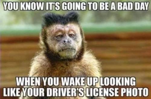 22:14:02 GMT-0700 (PDT).image