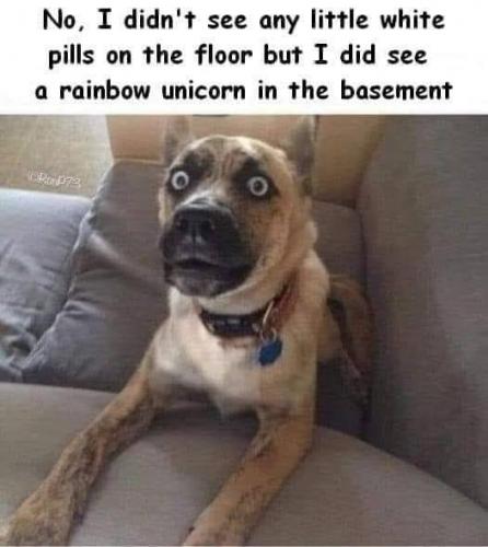 _()_03