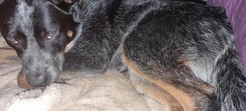 07:00:10 GMT+1000 (AEST)