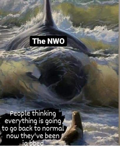 00:39:57 GMT-0500 (CDT)