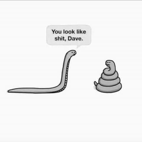 FB_IMG_1625865528321