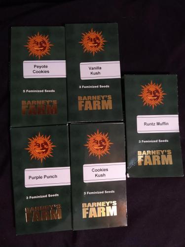 IMG_20210712_225954737