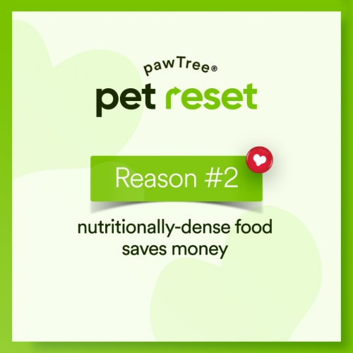 Pet Reset Reason2