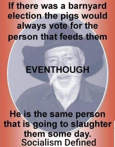 FB_IMG_1622135941689