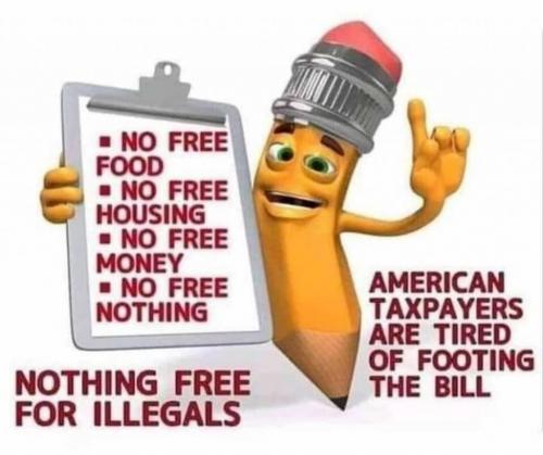 66671109_2249252418462415_2606600881549869056_o