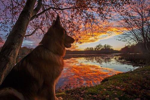 11:09:09 GMT-0500 (CDT)