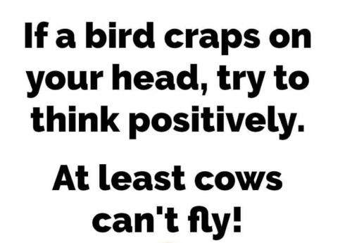 FB_IMG_1624229556515