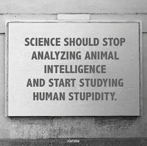 166227413_5265615316843213_2531008981839273385_n