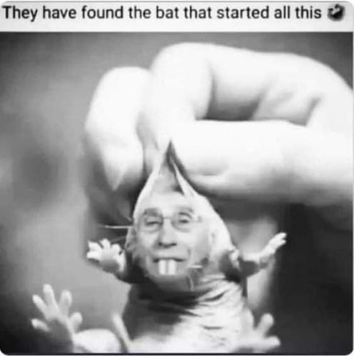 FB_IMG_1627221118699