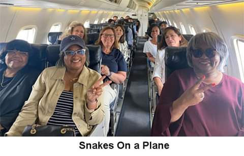 FB_IMG_1626565239429