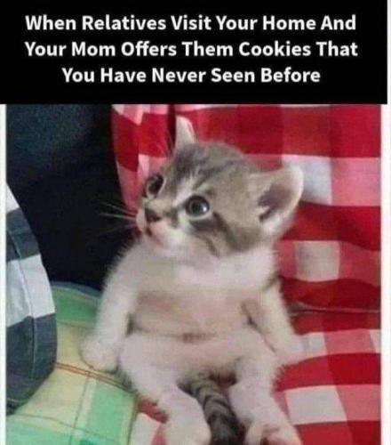 18:01:21 GMT-0400 (EDT)