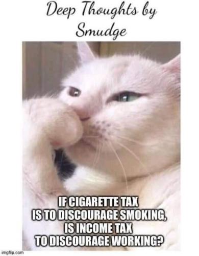 FB_IMG_1625727953785