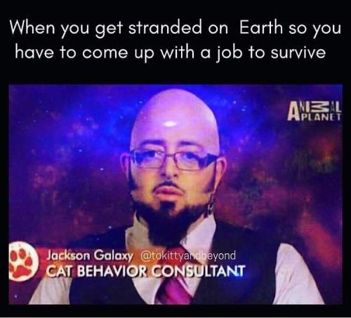 14:12:46 GMT-0400 (EDT)