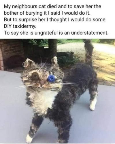 FB_IMG_1627288785169