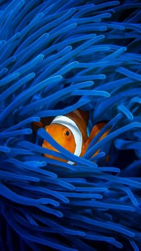 FB_IMG_1625467197944