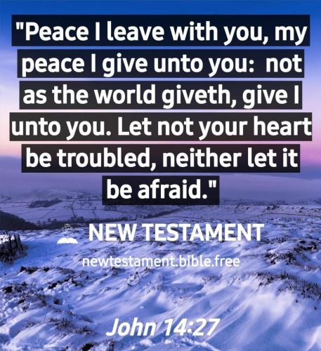 Screenshot_20210709-112333_New Testament Bible free