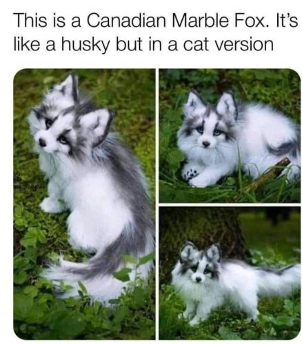 15:47:35 GMT-0700 (MST)