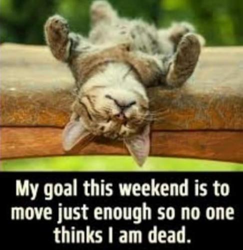 10:45:55 GMT-0400 (EDT)