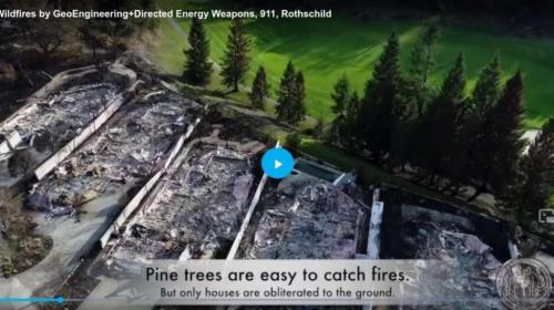 zpaTg7GMpySX2nexLgxM_15_20ed0dbd29600ed1d459127a30ae9f4b_image