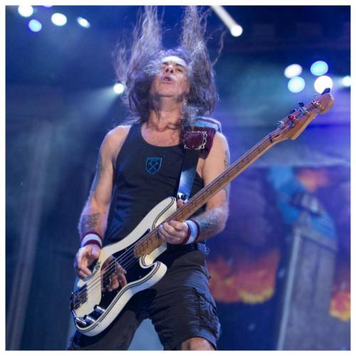 202417621_4417528268277788_2619069935654863642_n