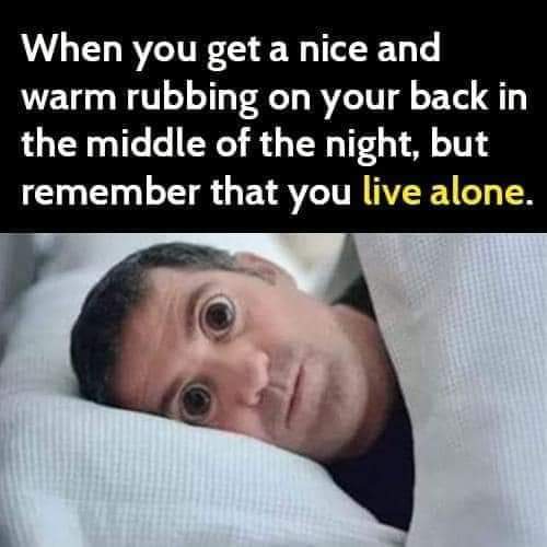 FB_IMG_1627495771654