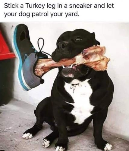 14:53:28 GMT-0700 (PDT)