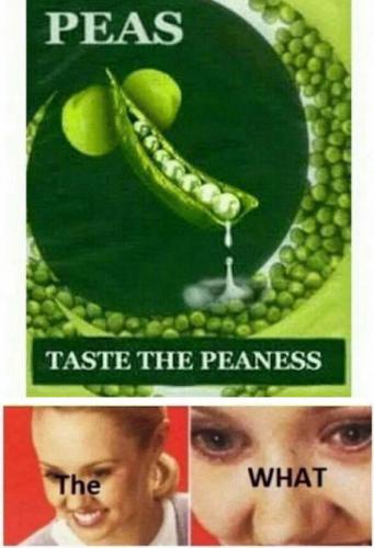 taste the peaness