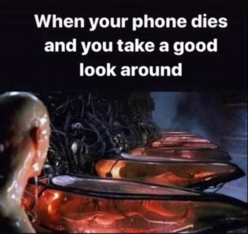 photo_2021-07-26_13-20-33