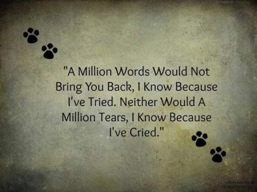 17:02:30 GMT-0700 (PDT)