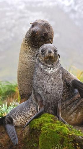 tumblr_63834470cc7a622493e3704d215ad585_e580b366_640