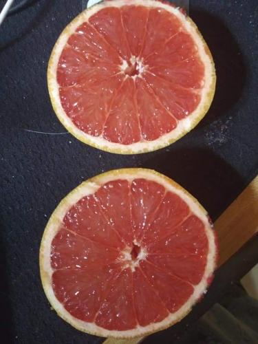 FB_IMG_1625950455194