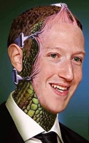 zuck82