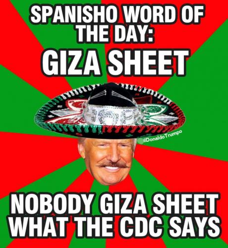 IMG_20210730_160038_937