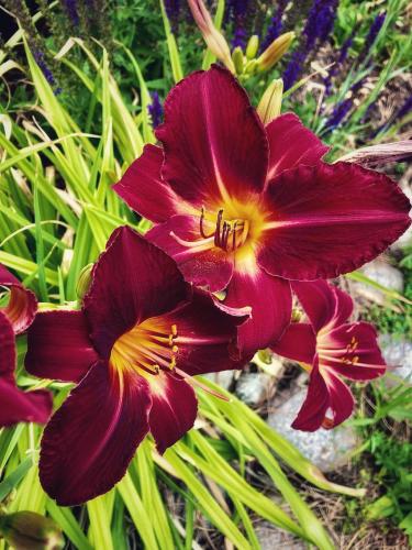 16:45:52 GMT-0600 (MDT).image