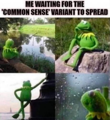 🤣😆 yeah yeah..