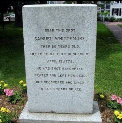 BRAVE PATRIOT MEME (2)