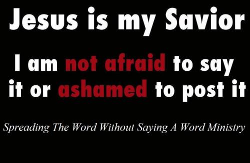 616421_459435690748074_914587330_o