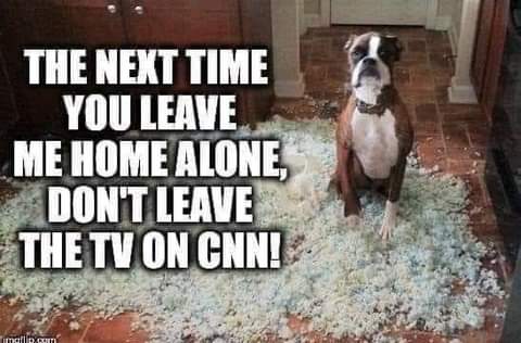 FB_IMG_1625874046660