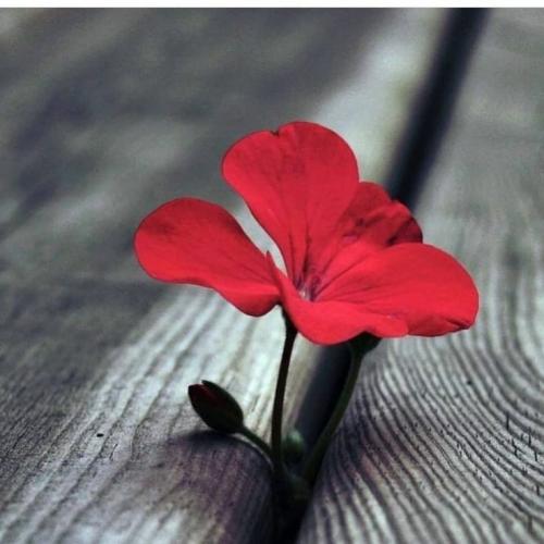 8ca9dc2394ef30c5162b1dc59d41e094