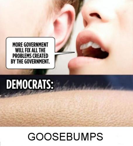 democrats453